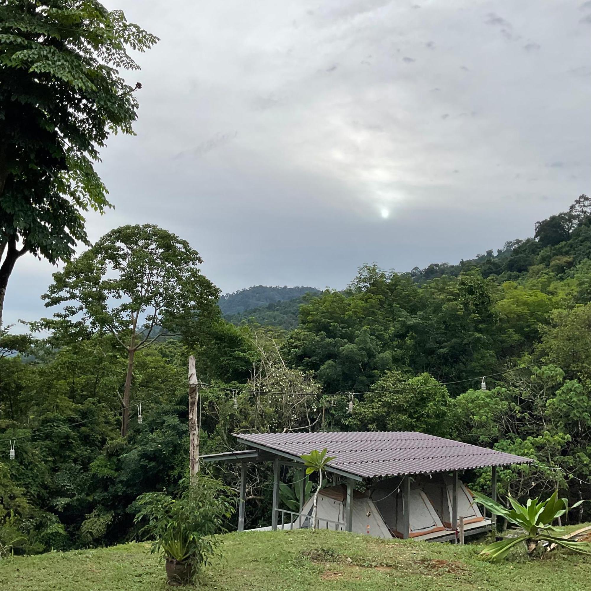 Khao Sok Hill Top Resort Khao Sok National Park Exterior foto