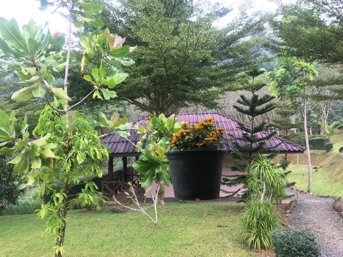 Khao Sok Hill Top Resort Khao Sok National Park Exterior foto